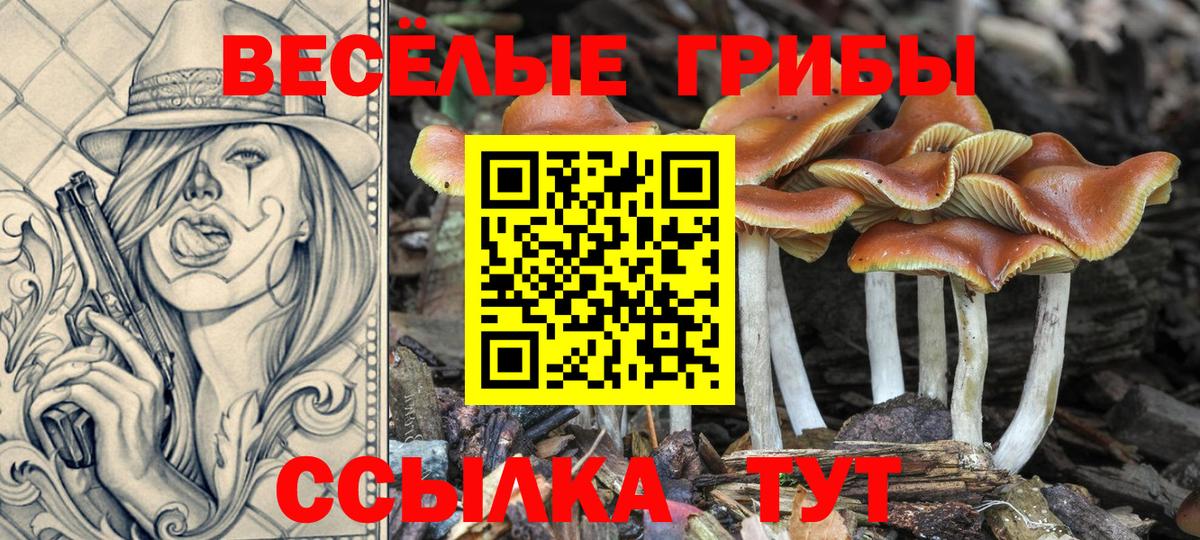 Галлюциногенные грибы мухоморы  Вход с VPN  Саяногорск 